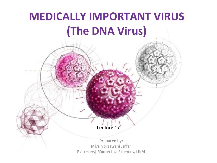 MEDICALLY IMPORTANT VIRUS (The DNA Virus) Lecture 17 Prepared by: Miss Norzawani Jaffar Bsc