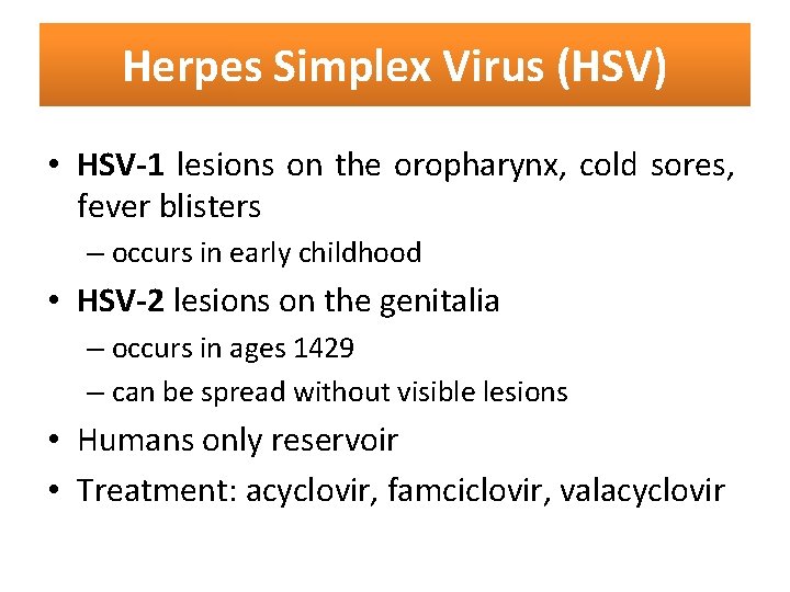 Herpes Simplex Virus (HSV) • HSV-1 lesions on the oropharynx, cold sores, fever blisters