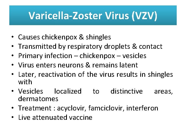 Varicella-Zoster Virus (VZV) Causes chickenpox & shingles Transmitted by respiratory droplets & contact Primary