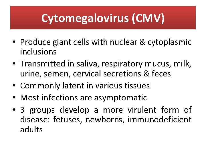 Cytomegalovirus (CMV) • Produce giant cells with nuclear & cytoplasmic inclusions • Transmitted in