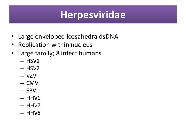 Herpesviridae • Large enveloped icosahedra ds. DNA • Replication within nucleus • Large family;