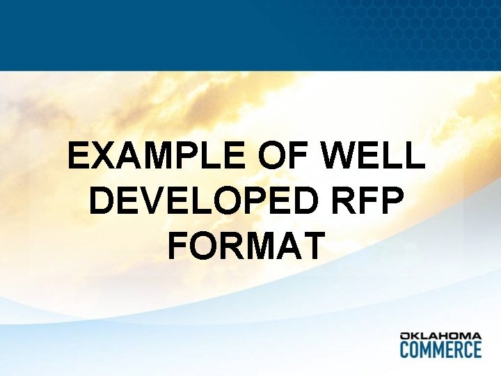 EXAMPLE OF WELL DEVELOPED RFP FORMAT 