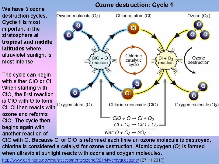 We have 3 ozone destruction cycles. Cycle 1 is most important in the stratosphere