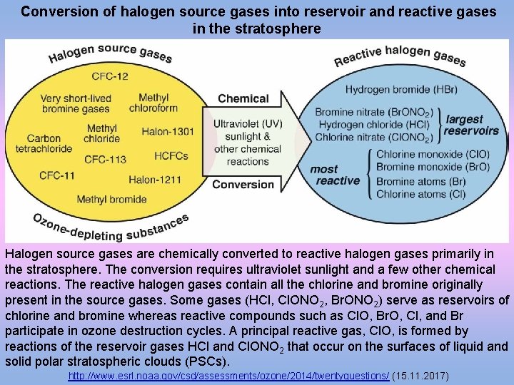 Conversion of halogen source gases into reservoir and reactive gases in the stratosphere Halogen