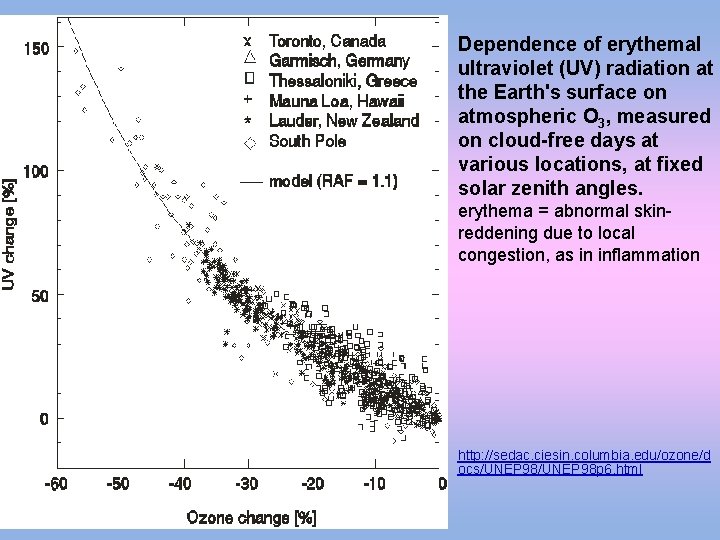 Dependence of erythemal ultraviolet (UV) radiation at the Earth's surface on atmospheric O 3,