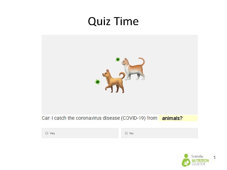 Quiz Time animals? 5 Quiz Time animals? 5
