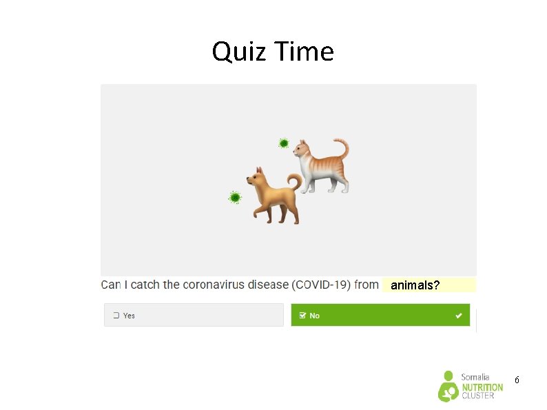 Quiz Time animals? 6 Quiz Time animals? 6