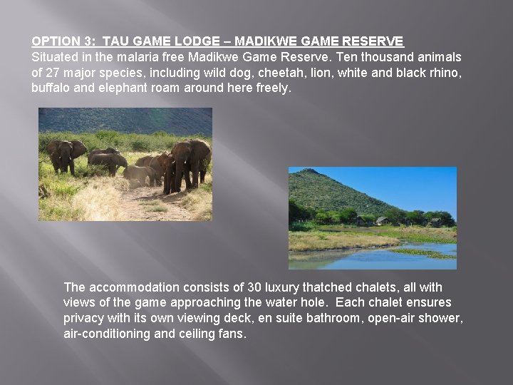 OPTION 3: TAU GAME LODGE – MADIKWE GAME RESERVE Situated in the malaria free