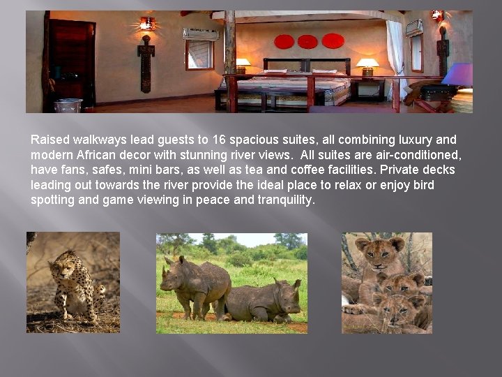 Raised walkways lead guests to 16 spacious suites, all combining luxury and modern African