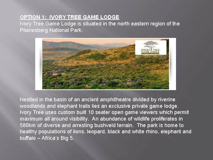 OPTION 1: IVORY TREE GAME LODGE Ivory Tree Game Lodge is situated in the