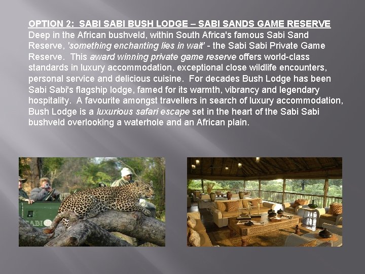 OPTION 2: SABI BUSH LODGE – SABI SANDS GAME RESERVE Deep in the African