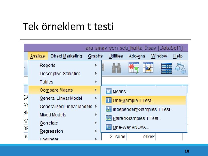 Tek örneklem t testi 18 