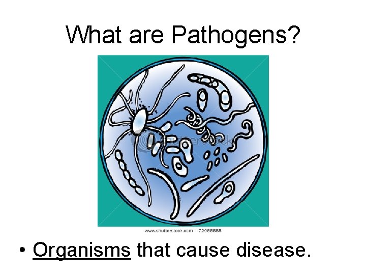 What are Pathogens? • Organisms that cause disease. 