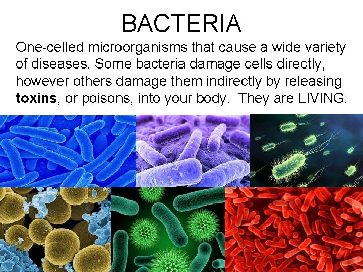 BACTERIA One-celled microorganisms that cause a wide variety of diseases. Some bacteria damage cells