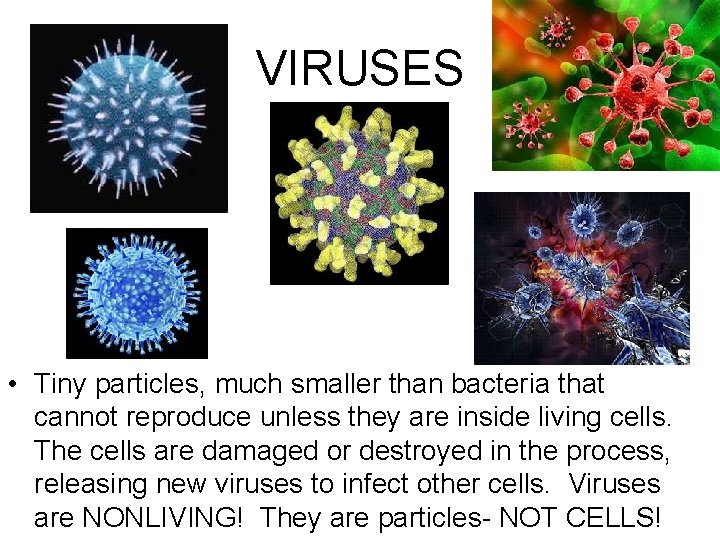 VIRUSES • Tiny particles, much smaller than bacteria that cannot reproduce unless they are