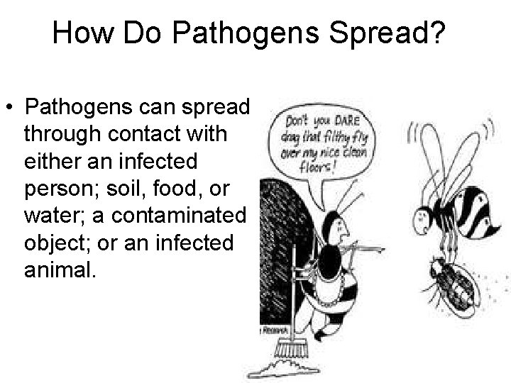 How Do Pathogens Spread? • Pathogens can spread through contact with either an infected