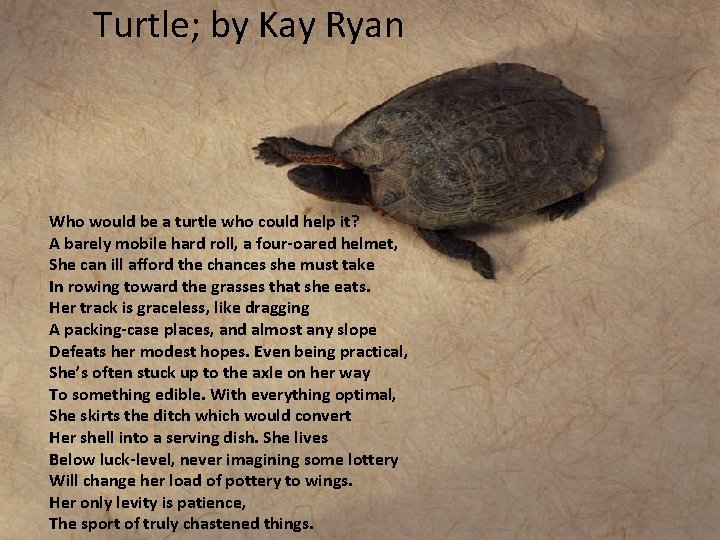 Turtle; by Kay Ryan Who would be a turtle who could help it? A