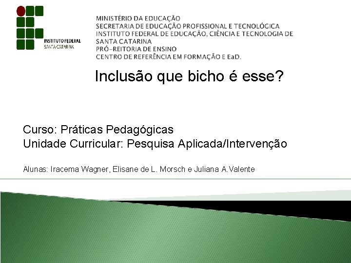 Inclusão que bicho é esse? Curso: Práticas Pedagógicas Unidade Curricular: Pesquisa Aplicada/Intervenção Alunas: Iracema