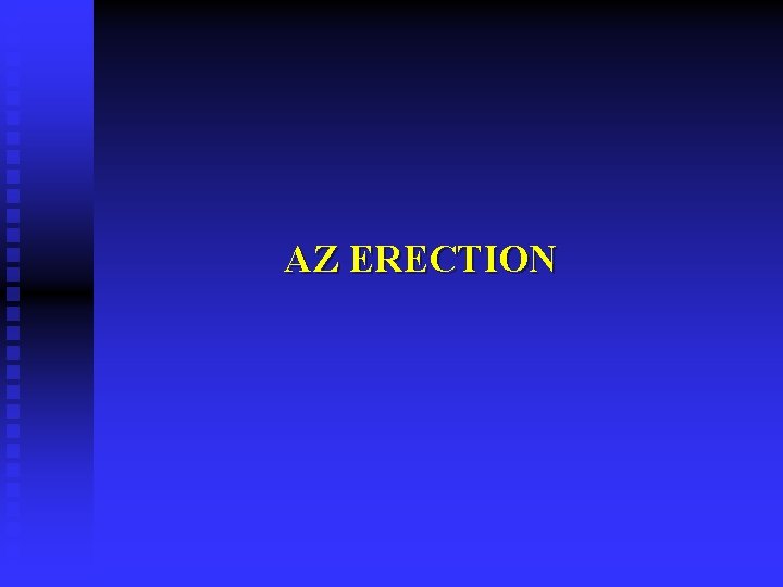 AZ ERECTION 