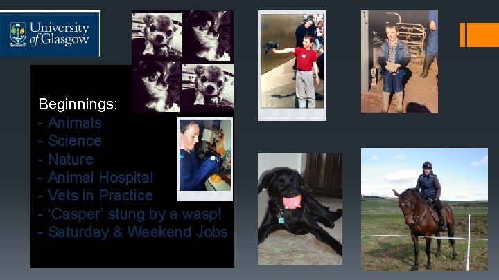 Beginnings: - Animals - Science - Nature - Animal Hospital - Vets in Practice