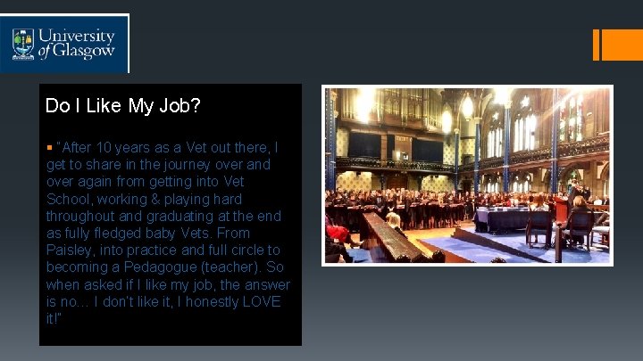 Do I Like My Job? § “After 10 years as a Vet out there,