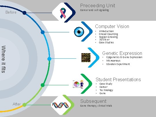Integrating Computer Vision through Medical Imaging in a