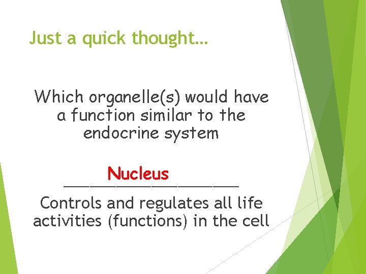 Just a quick thought… Which organelle(s) would have a function similar to the endocrine