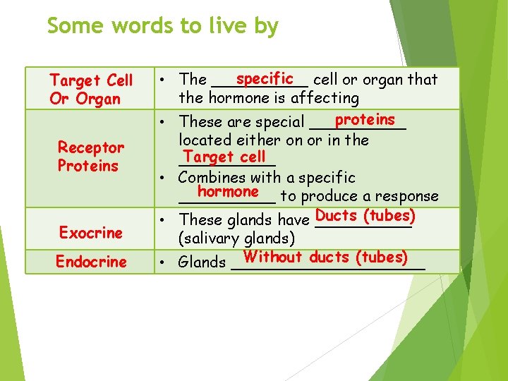 Some words to live by Target Cell Or Organ Receptor Proteins Exocrine Endocrine specific