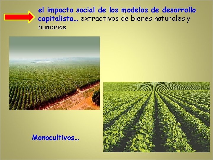 el impacto social de los modelos de desarrollo capitalista… extractivos de bienes naturales y