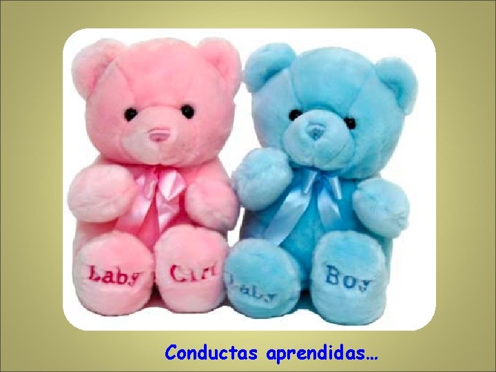 Conductas aprendidas… 