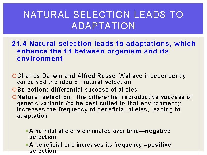 NATURAL SELECTION LEADS TO ADAPTATION 21. 4 Natural selection leads to adaptations, which enhance