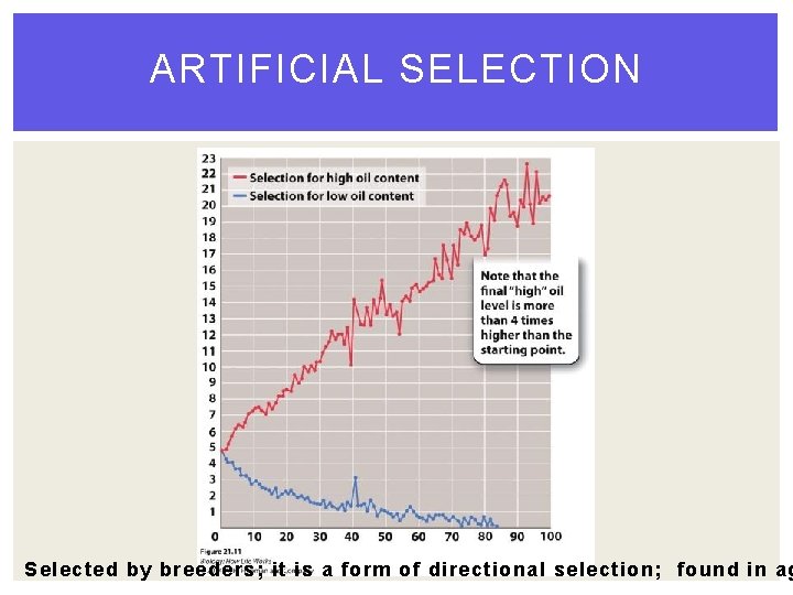 ARTIFICIAL SELECTION Selected by breeders; it is a form of directional selection; found in