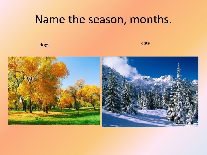 Name the season, months. dogs cats 