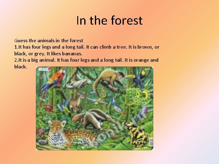In the forest Guess the animals in the forest 1. It has four legs