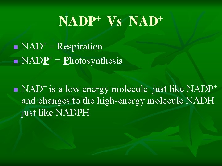 NADP+ Vs NAD+ n n n NAD+ = Respiration NADP+ = Photosynthesis NAD+ is