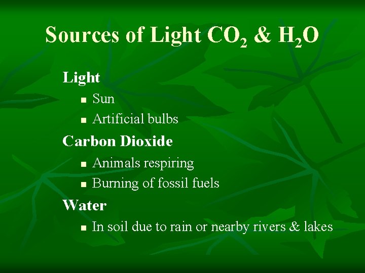 Sources of Light CO 2 & H 2 O Light n n Sun Artificial