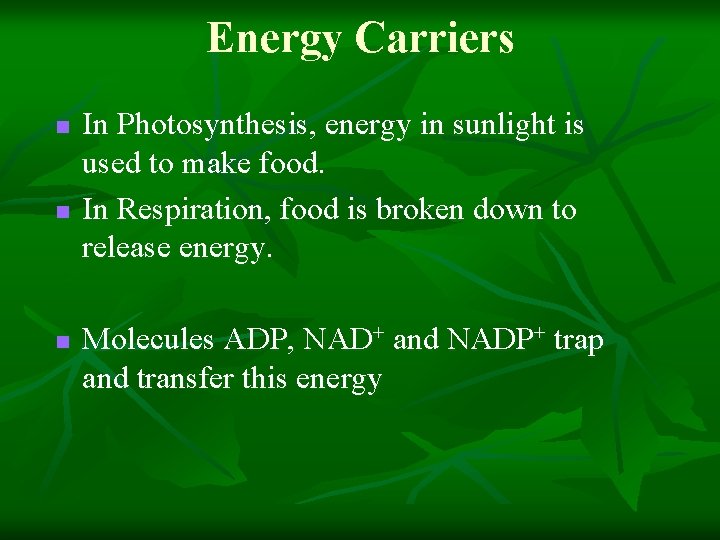 Energy Carriers n n n In Photosynthesis, energy in sunlight is used to make