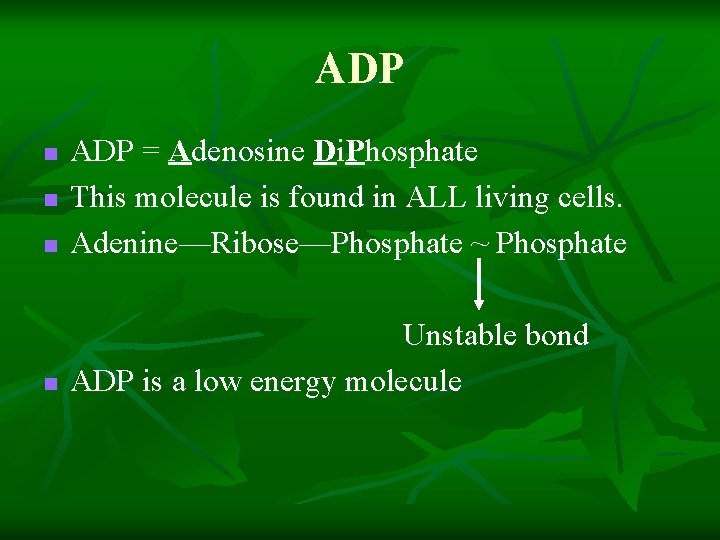 ADP n ADP = Adenosine Di. Phosphate This molecule is found in ALL living