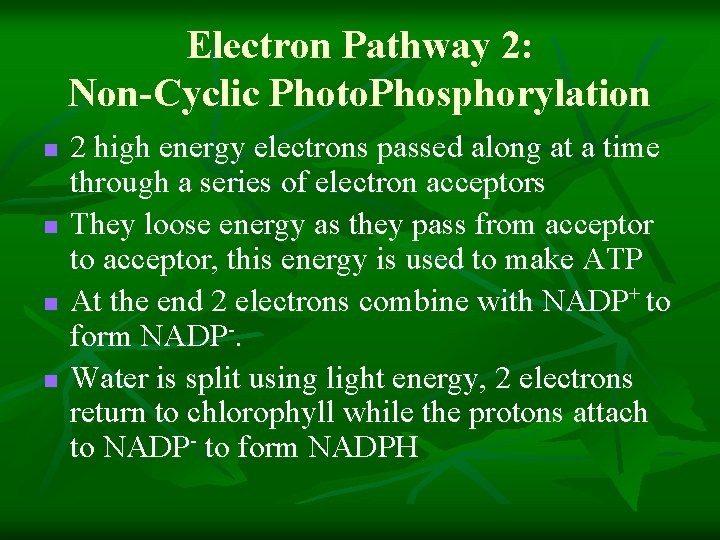 Electron Pathway 2: Non-Cyclic Photo. Phosphorylation n n 2 high energy electrons passed along