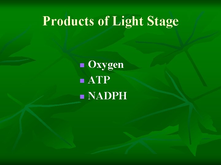Products of Light Stage Oxygen n ATP n NADPH n 