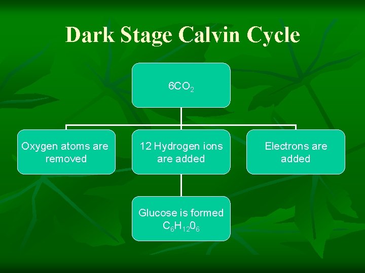 Dark Stage Calvin Cycle 6 CO 2 Oxygen atoms are removed 12 Hydrogen ions