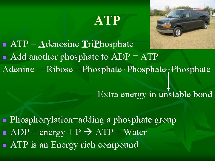 ATP = Adenosine Tri. Phosphate n Add another phosphate to ADP = ATP Adenine