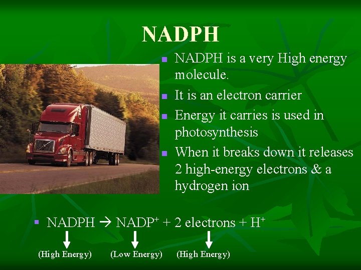 NADPH n n NADPH is a very High energy molecule. It is an electron