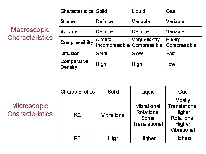 Macroscopic Characteristics Microscopic Characteristics 