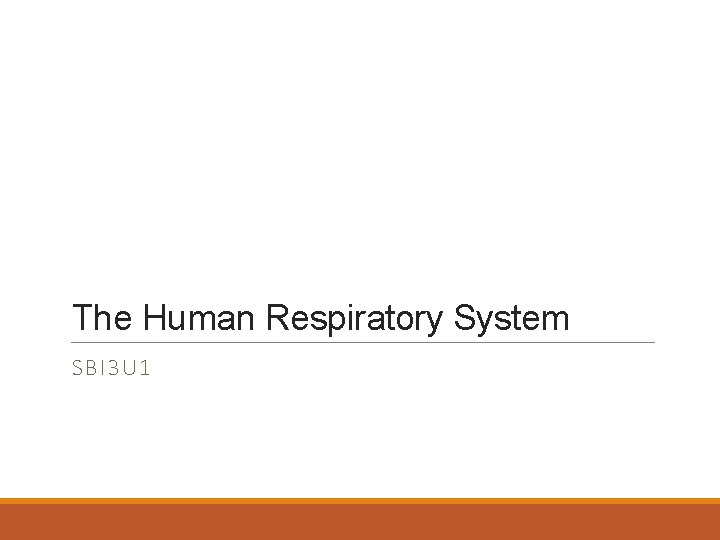 The Human Respiratory System SBI 3 U 1 