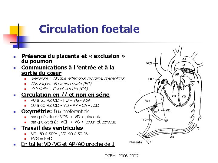 Circulation foetale n n Présence du placenta et « exclusion » du poumon Communications