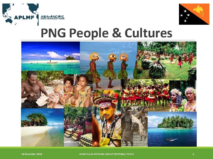 PNG People & Cultures 24 November 2016 APLMF GA & WORKING GROUP MEETINGS, TOKYO