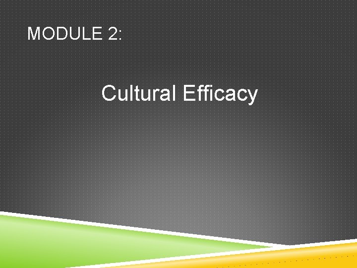 MODULE 2: Cultural Efficacy 