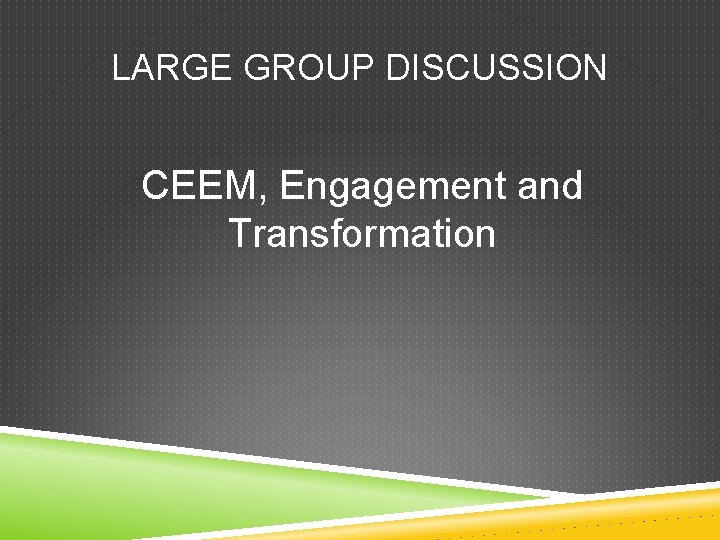 LARGE GROUP DISCUSSION CEEM, Engagement and Transformation 