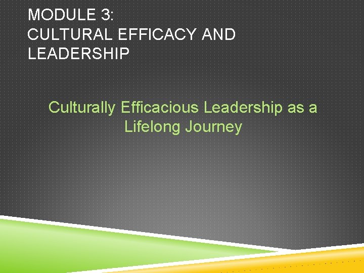 MODULE 3: CULTURAL EFFICACY AND LEADERSHIP Culturally Efficacious Leadership as a Lifelong Journey 